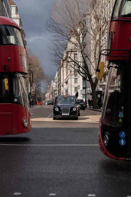 A view from the pavement showing two red double-decker buses parked on either side of a street with a black London taxi cab approaching the crosswalk in the middle. The street is lined with leafless trees and multi-storey buildings with classic architectural details. The scene captures a typical city traffic moment during daytime with cloudy skies overhead. This image relates to house removals and moving services provided by Man with Van Aldwych, highlighting the logistical environment of home relocation and furniture transport in central London, specifically around The Strand and Aldwych area.