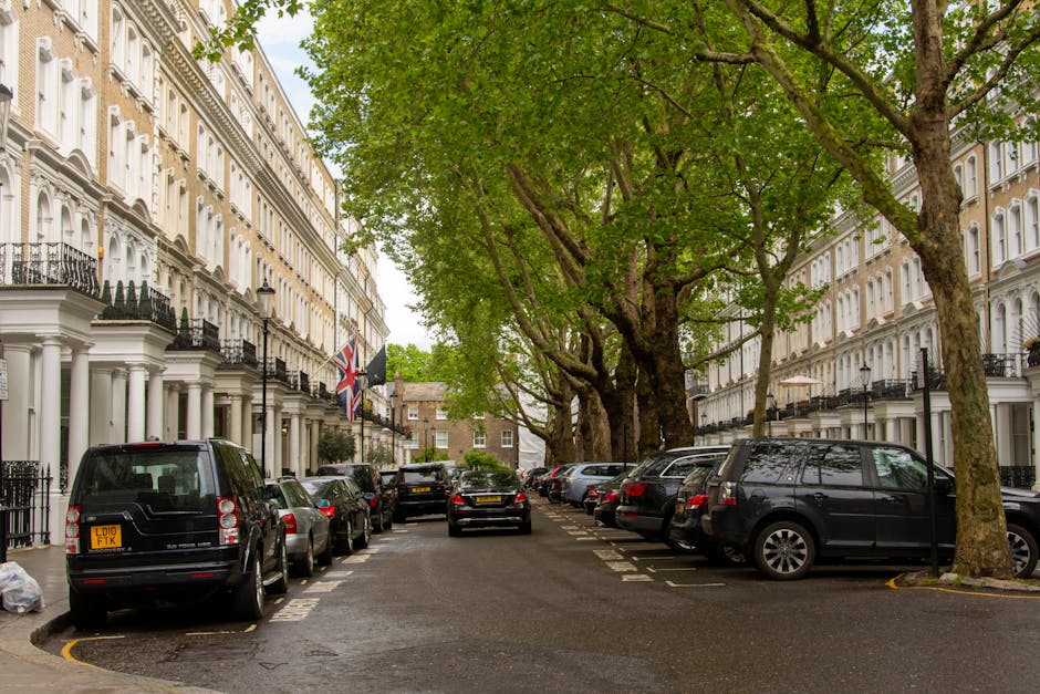 A residential street scene in Aldwych, featuring a row of white Victorian-style townhouses with decorative balconies and black wrought iron railings, set against a backdrop of large leafy trees with thick green canopies. The street is lined with parked vehicles including black and silver cars, arranged along both sides of the narrow road, with some vehicles partially on the pavement. In the foreground, a black van with a visible registration plate is parked, and other vehicles extend into the background. The street surface appears wet, likely from recent rain, and there is a mixture of natural daylight filtering through the tree branches. Occasionally, some packing or moving activity might be implied by the presence of a moving van operated by Man with Van Aldwych, though no action is visibly taking place in this image. The scene captures the typical environment during a house relocation or furniture transport involving careful parking and navigation through this historic street, aligning with best times for moving on Kingsway and local parking tips as referenced in the page about Aldwych.